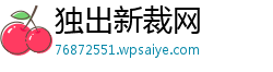 独出新裁网